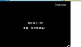 爆料视频怎么获得,深度解析事件全貌