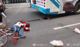 上海车祸最新爆料,悲剧现场细节曝光，事故原因引关注